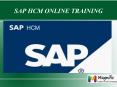 sap scm online training in usa (1) PowerPoint PPT Presentation