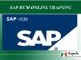 SAP HCM online training in USA PowerPoint PPT Presentation