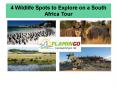 4 Wildlife Spots To Explore On A South Africa Tour PowerPoint PPT Presentation