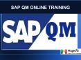 SAP QM online training in USA PowerPoint PPT Presentation