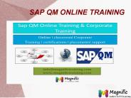 SAP QM online training in Mlaysia