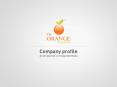 Web Designing & Web Development in Pune - Orange Web Media