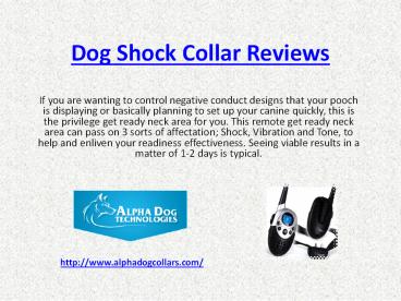 dog shock collars reviews