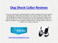 dog shock collars reviews PowerPoint PPT Presentation