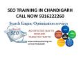 seo training in chandigarh|online digital marketing training PowerPoint PPT Presentation