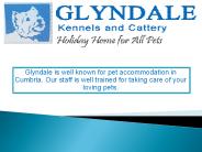 Pet Care Cumbria