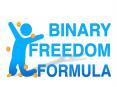 The Potential of the Binary Option As a Regular Investment Choice PowerPoint PPT Presentation