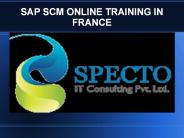 sap scm online training in france