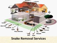 Snake removal services