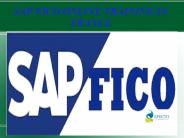 sap fico online training in france