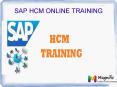 SAP HCM online training in Malaysia PowerPoint PPT Presentation