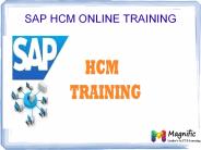 SAP HCM online training in Malaysia