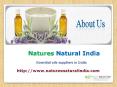 Bulk Essential Oils in India at Naturesnaturalindia.com PowerPoint PPT Presentation
