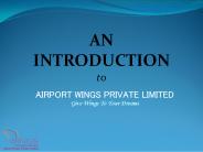 Introduction to Airport Wings (1)