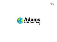 Pest Control & Termite Inspection Port St Lucie