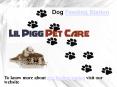 Dog Feeding Station PowerPoint PPT Presentation