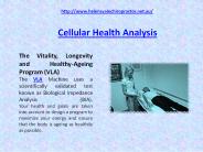 Cellular Health Analysis