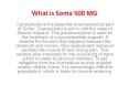 Make an obstruction in Muscle Pain with Soma PowerPoint PPT Presentation
