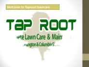 Welcome to Taproot lawncare