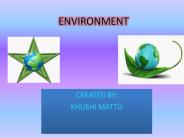 save environment