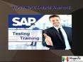 SAP Testing online training in UK PowerPoint PPT Presentation
