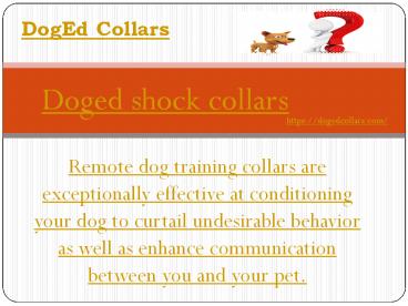 Doged shock collars