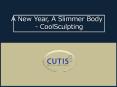 A New Year, A Slimmer Body - CoolSculpting PowerPoint PPT Presentation