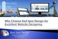 Why Choose Red Spot Design for Excellent Website Designing PowerPoint PPT Presentation