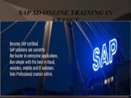 sap sd online training in france