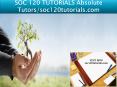 SOC 120 TUTORIALS Absolute Tutors/soc120tutorials.com PowerPoint PPT Presentation