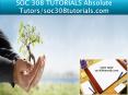 SOC 308 TUTORIALS Absolute Tutors/soc308tutorials.com PowerPoint PPT Presentation
