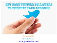 Get More Twitter Followers