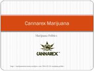 MARIJUANA POLITICS