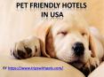 Pet-Friendly Policies Pet-Friendly Hotels Guide PowerPoint PPT Presentation