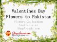 Valentines Day Flowers to Pakistan---Flowers Collection Available at ShopArcade.com PowerPoint PPT Presentation