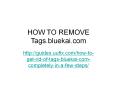 How to remove tags.bluekai.com PowerPoint PPT Presentation