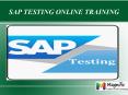 SAP TESTING online training in USA PowerPoint PPT Presentation