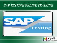 SAP TESTING online training in USA