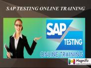 SAP TESTING online training in Australia