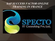 sap sucess factor online training in france