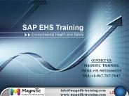 SAP EHS ONLINE TRAINING IN USA|UK