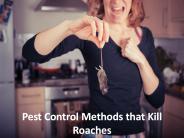 Pest Control Methods that Kill Roaches