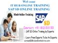 Best SAP SD online training in Singapore | SAP SD online training classes PowerPoint PPT Presentation