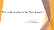 Role of Thick Data in Big Data Analytics - Ravi Namboori
