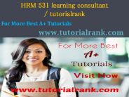 HRM 531 V6 learning consultant - tutorialrank.com