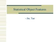 Statistical Object Features