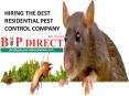Hiring the best residential pest control company PowerPoint PPT Presentation