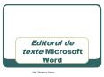 Editorul de texte Microsoft Word PowerPoint PPT Presentation