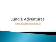 Bannerghatta nature camp