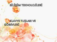 BILISIM TEKNOLOJILERI